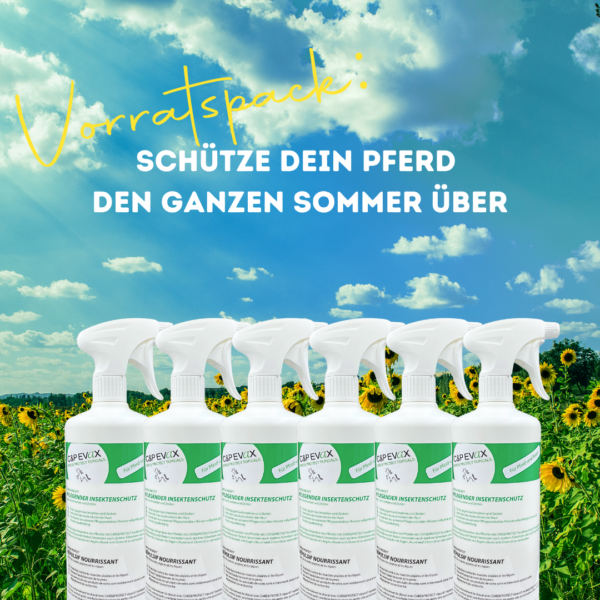 Insektenschutz CARE&PROTECT 6-er Pack
